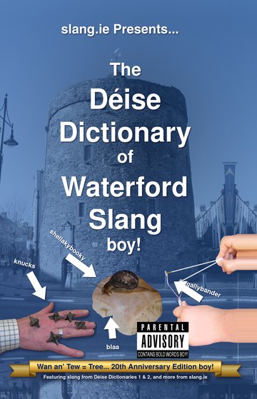 The Déise Dictionary book cover